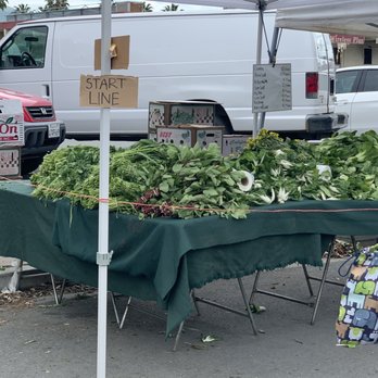 IRVINGTON FARMERS’ MARKET - Updated February 2026 - 598 Photos & 136