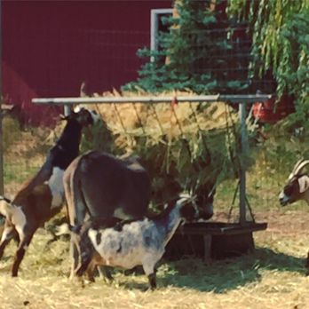 High Country Orchard - Gift Shops Near Me - Colbert, Washington