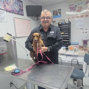 Otay Vet - Veterinarians Near Me - Tijuana, BCN