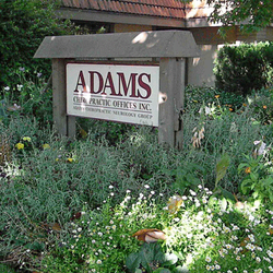 Adams Chiropractic Offices