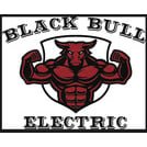 Slide of Black Bull Electric