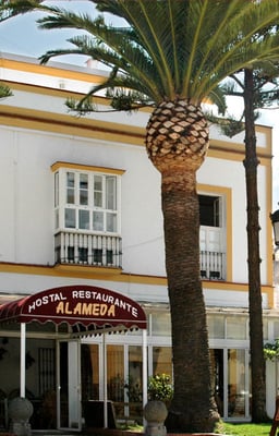Hostal Alameda by null