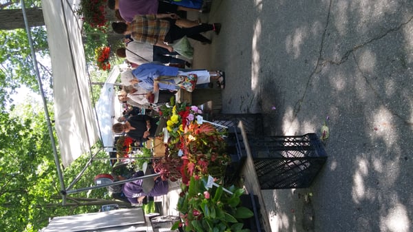 Portland Farmers' Market by null