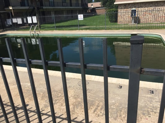 International Village Apartments