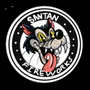 San Tan Fireworks