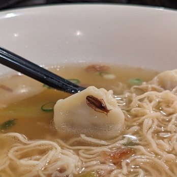 Vietnam One - Wonton with crunchy cockroach bits. - Vietnamese Near Me - Richmond, Virginia Vietnam One - Wonton with crunchy cockroach bits. - Vietnamese Near Me - Richmond, Virginia