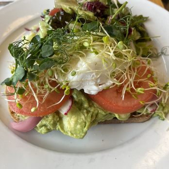 Bloom - Avocado Toast - American Near Me - Santa Clara, California