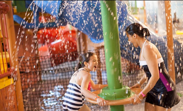 Great Wolf Lodge | Grapevine by null