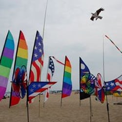 The Kite Store