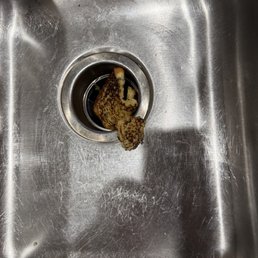 Soggy toast down the drain,