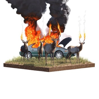 David B. Smith Gallery - Josh Keyes "Scorch II" - Art Galleries Near Me - Denver, Colorado