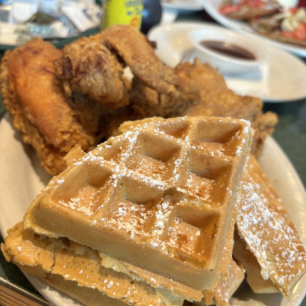 Metro Diner - American Near Me - Tampa, Florida Metro Diner - American Near Me - Tampa, Florida