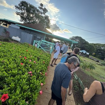 Little Fish Coffee - Line up at 7:00 a.m. - Cafes Near Me - Koloa, Hawaii
