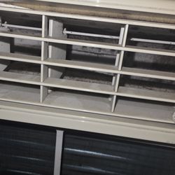 Tin Brook Bed & Breakfast - Mildew mold in A/C