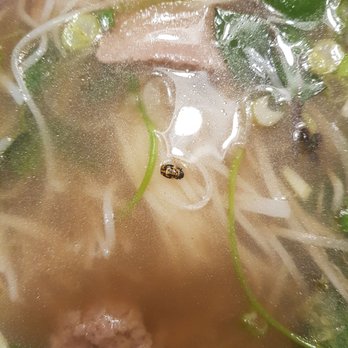 Bamboo by Kulantro - Rare steak pho - Vietnamese Near Me - Albuquerque, New Mexico Bamboo by Kulantro - Rare steak pho - Vietnamese Near Me - Albuquerque, New Mexico