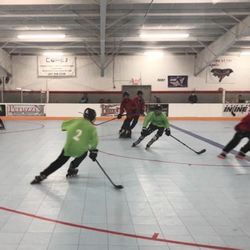 Inline309 - Youth and Adult Hockey Leagues (both floor and roller)