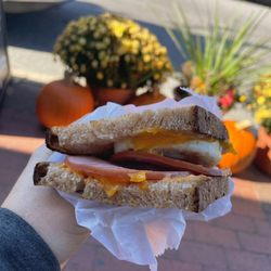 Global Village Organic Coffee - Panini