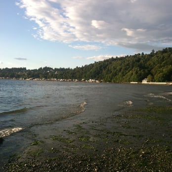 Ed Munro Seahurst Park - the tide washing in on the seashore with all of the algae. - Parks Near Me - Burien, Washington