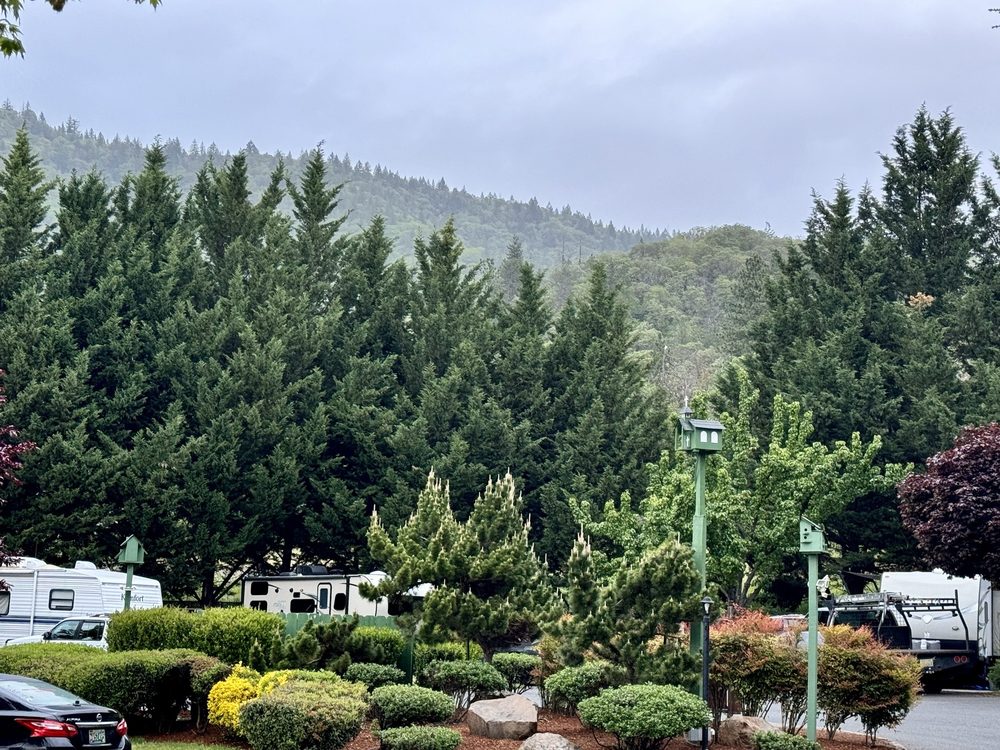 JACK’S LANDING RV RESORT Updated September 2024 11 Photos & 17