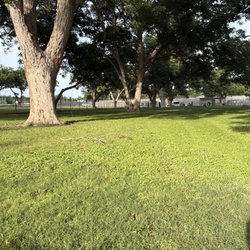 Barky Park