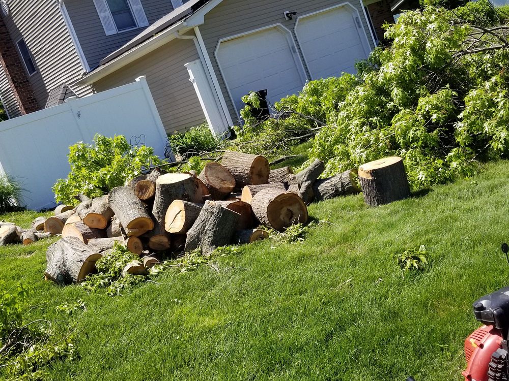 RED MAPLE TREE SERVICES Updated June 2024 10 Photos Freeport, New