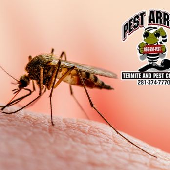 Pest Arrest - Pest Control Near Me - Spring, Texas Pest Arrest - Pest Control Near Me - Spring, Texas
