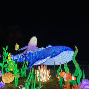 Glo Wild - Festivals Near Me - Kansas City, Missouri