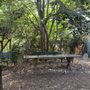 Photo of La Plaza Cultural