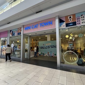 Eastridge - Mini Cat Town - Shopping Centers Near Me - San Jose, California Eastridge - Mini Cat Town - Shopping Centers Near Me - San Jose, California