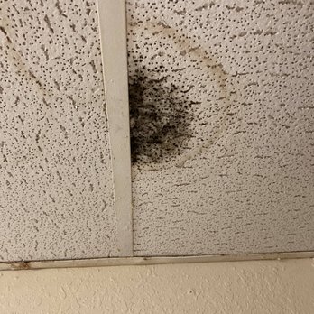 Ramada Inn - Mold in bathroom in our first room - Hotels Near Me - Lubbock, Texas Ramada Inn - Mold in bathroom in our first room - Hotels Near Me - Lubbock, Texas