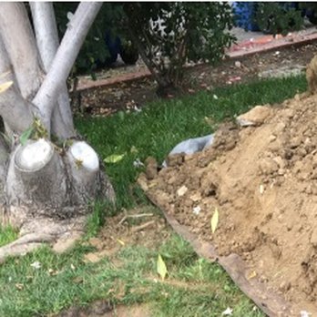 Westco Rooter - Root-damaged old clay pipes removed. - Plumbing Near Me - Winnetka, California Westco Rooter - Root-damaged old clay pipes removed. - Plumbing Near Me - Winnetka, California