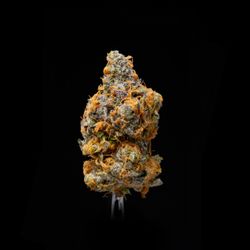 JAHnetics Delivery - JAH Cookies - 1st Place Best Indica @ Hempcon 2016.  GSC x Grapefruit Romulan.    http://hempcon.com/san-fran-420-weekend-2