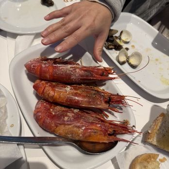 Cervejaria Ramiro - Seafood Near Me - Lisbon, 11