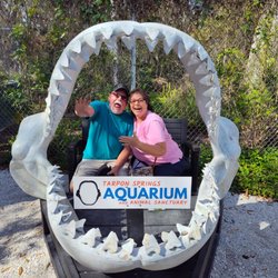 Tarpon Springs Aquarium and Animal Sanctuary - Laughing at this photo!  You do not have to pay for any pictures.  Photo opportunities are free.