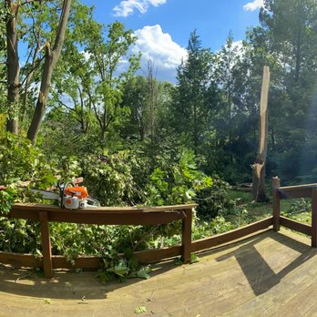 REM Tree Service - Tree Services Near Me REM Tree Service - Tree Services Near Me