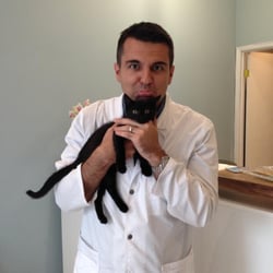 Yonge-Davenport Pet Hospital - Dr. Stefanescu does love his kittens!
