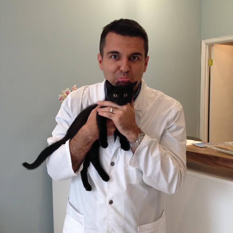 Yonge-Davenport Pet Hospital Image