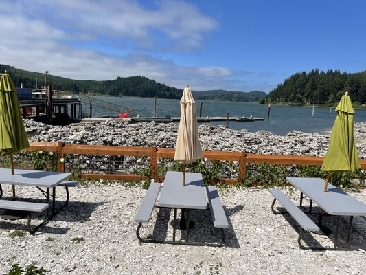 Clausen Oysters by null