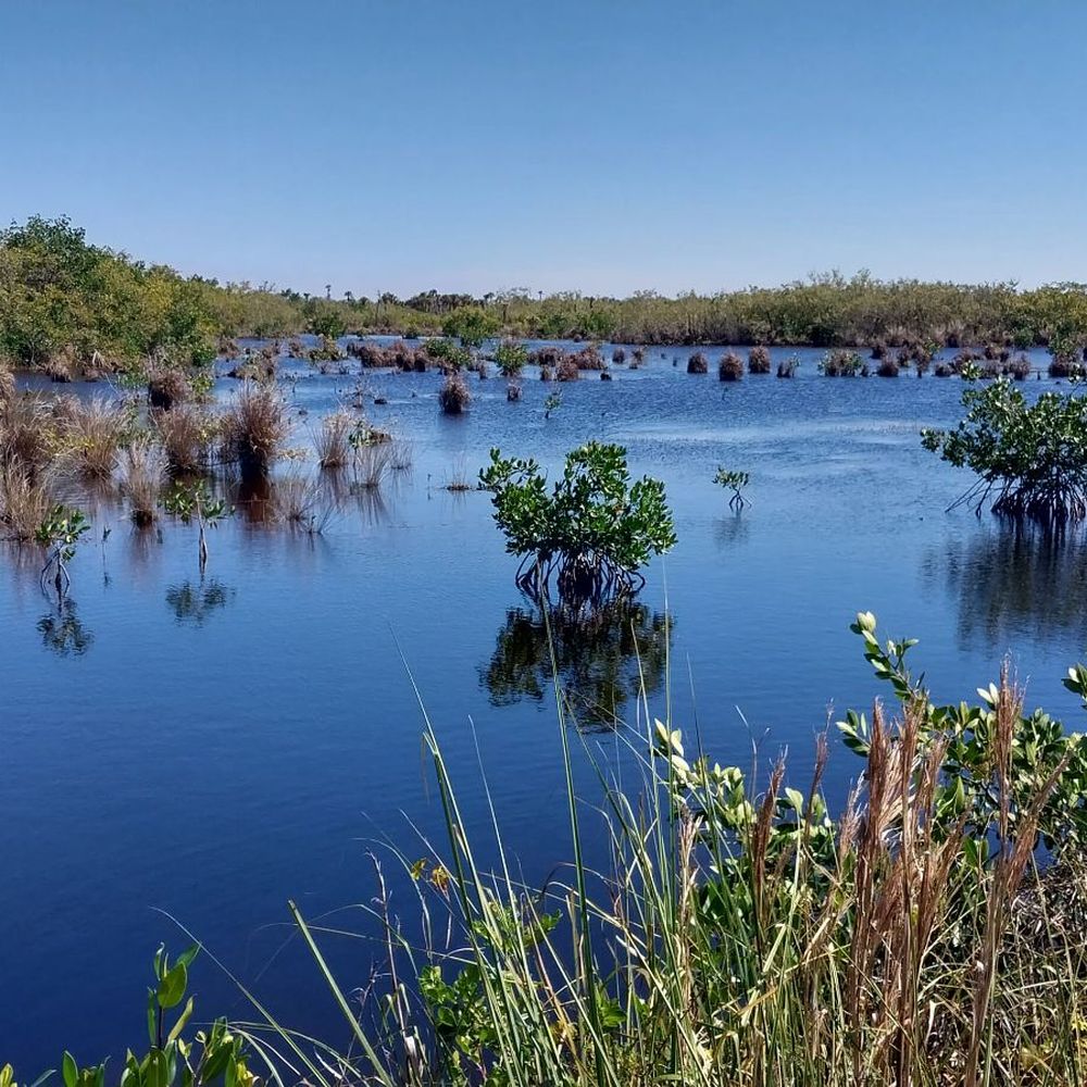 TOP 10 BEST Hiking Trails in Naples, FL - Updated 2026 - Yelp, image size:1000x1000