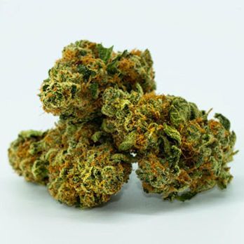 Resinate Northampton Cannabis Dispensary - Adult Use - Cannabis Dispensaries Near Me - Northampton, Massachusetts Resinate Northampton Cannabis Dispensary - Adult Use - Cannabis Dispensaries Near Me - Northampton, Massachusetts