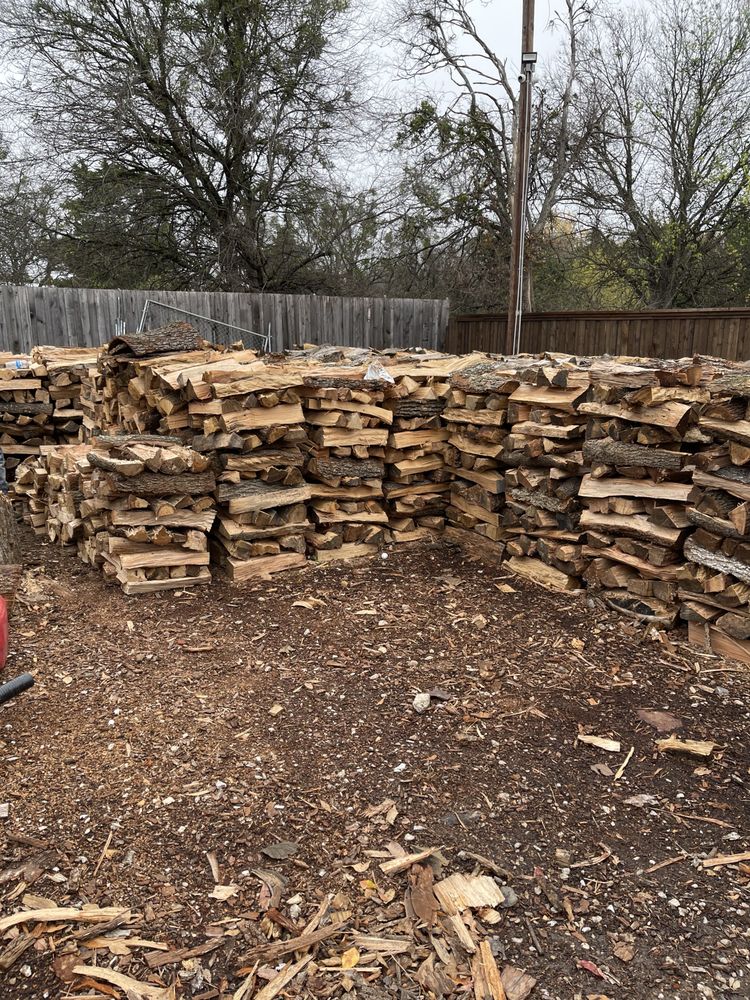 DALLAS TREE SERVICE Updated August 2024 1108 Augusta St, Red Oak