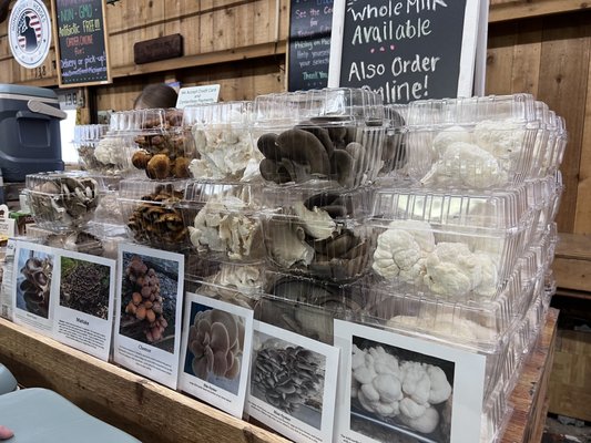 South Bend Farmer's Market by null
