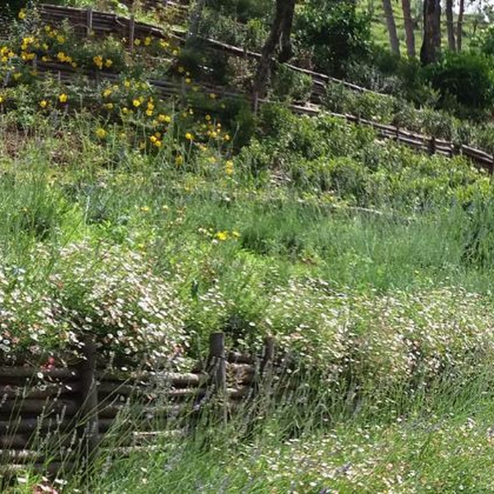 THE BEST 10 LANDSCAPING in BOLOGNA, ITALY - Updated 2025 - Hours - Yelp, image size:1000x1000