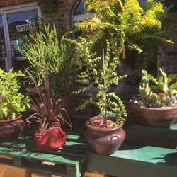 A Garden Center