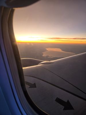Southwest Airlines by null