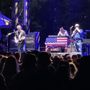 Photo of Wildflower Arts & Music Festival