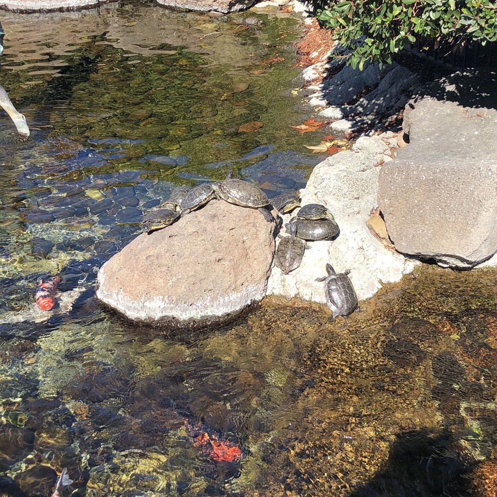 The Commons At Calabasas - Shopping Centers Near Me - Calabasas, California