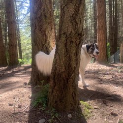 Olivia at the park