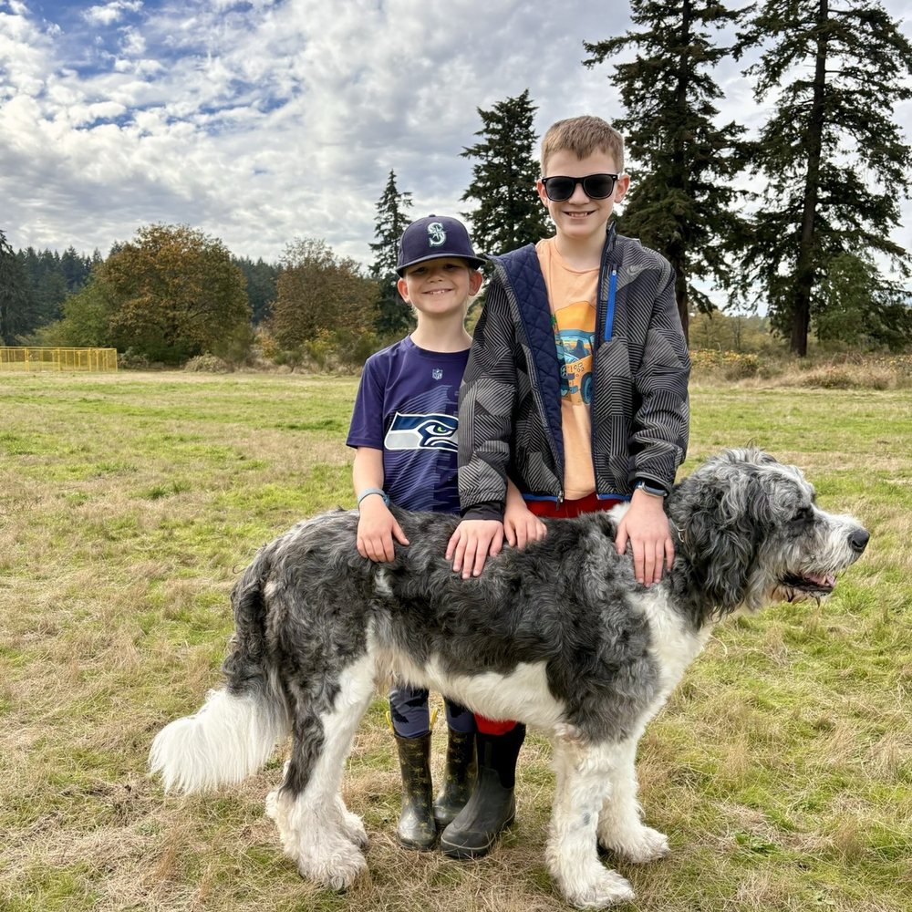 K9 Trail Trotter & Training Services - My boys with Kate's sweet dog. - Pet Training Near Me - Tacoma, Washington K9 Trail Trotter & Training Services - My boys with Kate's sweet dog. - Pet Training Near Me - Tacoma, Washington
