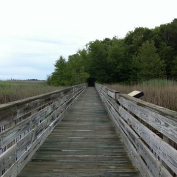 Prime Hook National Wildlife Refuge - Boardwalk Trail - Parks Near Me - Milton, Delaware
